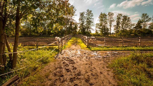 Quién decide por dónde tiene que pasar un vecino cuando su finca no tiene salida a un camino público