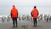 Personas junto a varios pingüinos