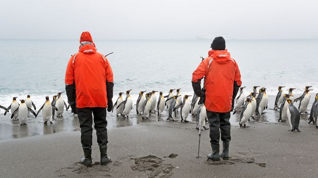 Personas junto a varios pingüinos