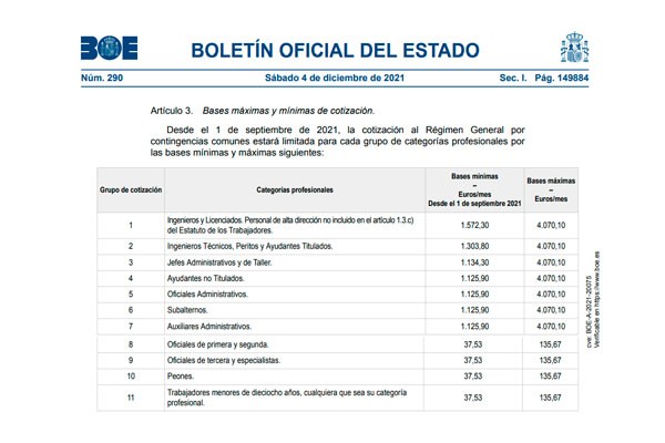 bases cotizacion