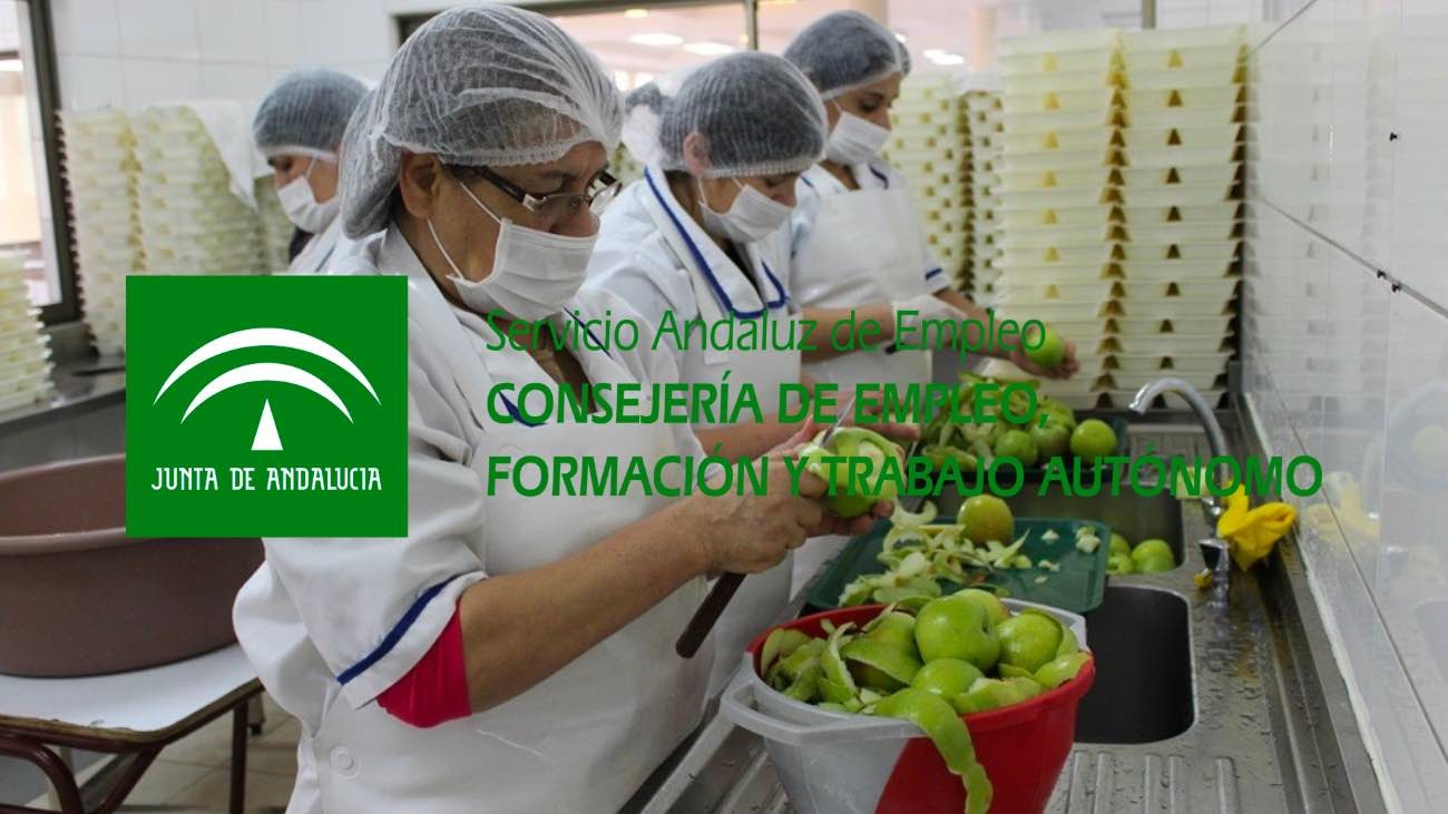 Cursos del SAE con certificado de profesionalidad para trabajar