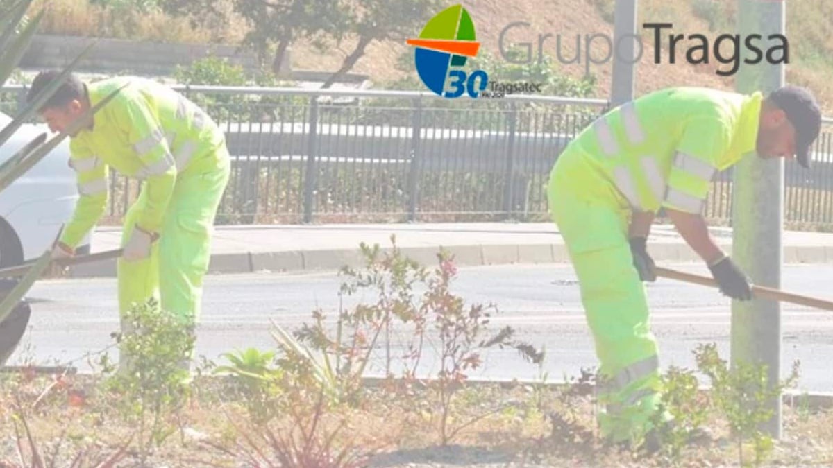 Grupo Tragsa y Tragsatec ofertan empleo con 47 puestos de trabajo | 2 de febrero 2021