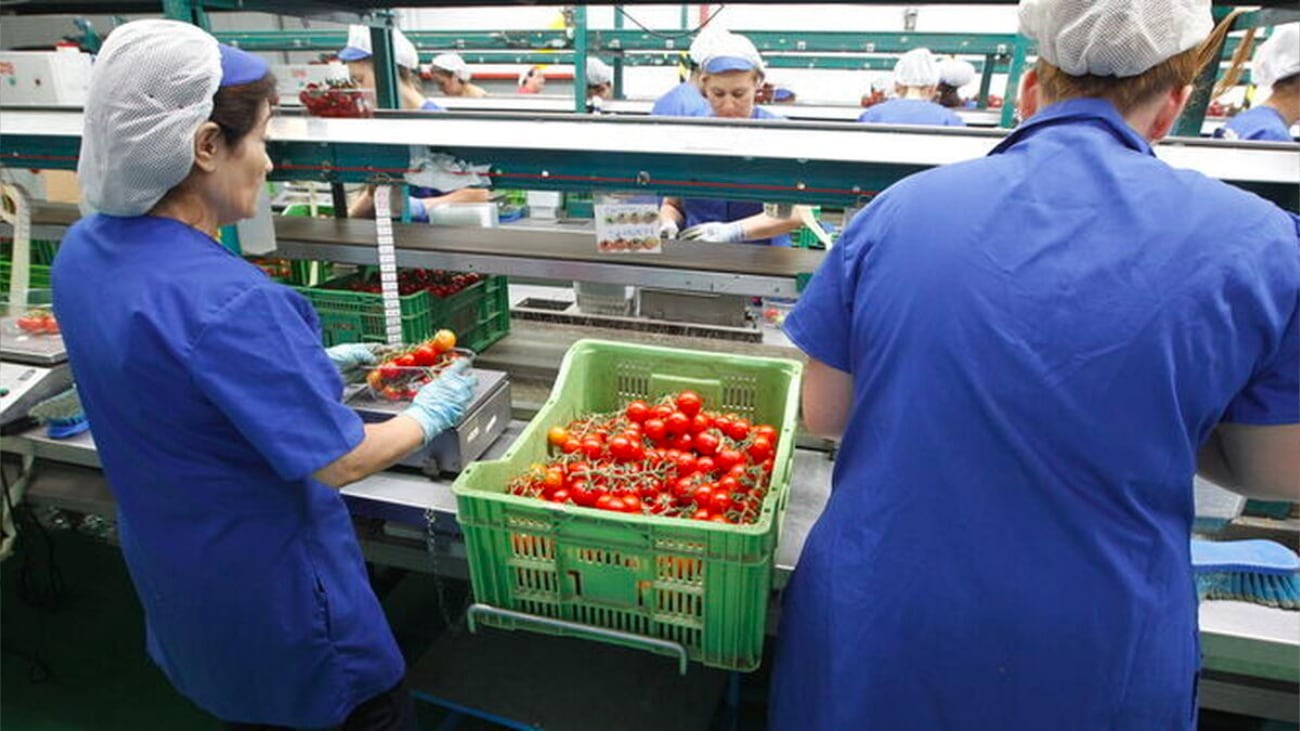 210 puestos de trabajo como Envasadores y Carretilleros en la Axarquía (Málaga)