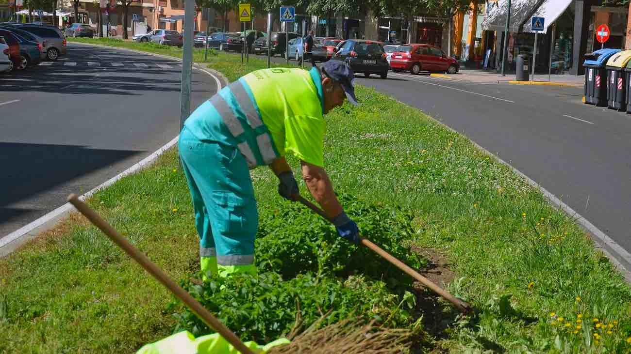 600 ofertas de empleo para jardineros en FCC: sueldos desde 1.400 euros
