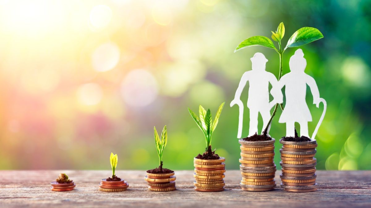 Pensión contributiva y no contributiva: estas son las diferencias