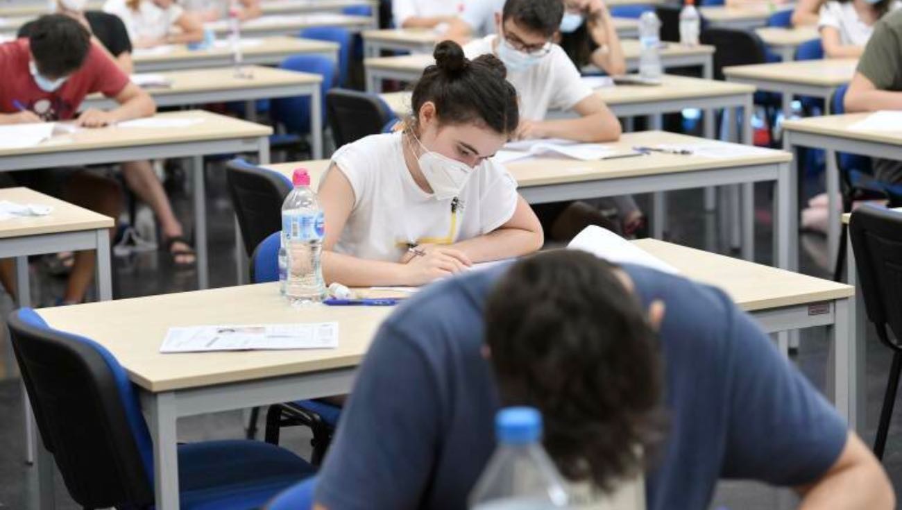 Temor en el empleo joven: 3 de cada 4 no tienen habilidades para trabajar