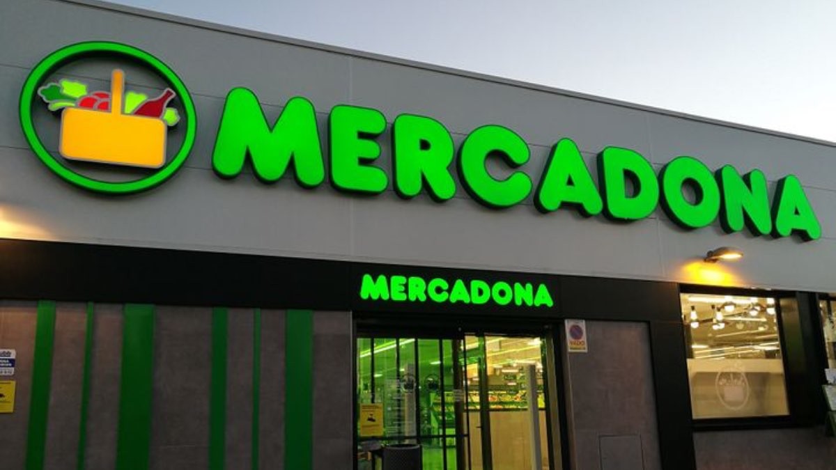 Furor en Mercadona por las nuevas natillas proteicas de caramelo: sanas y riquísimas