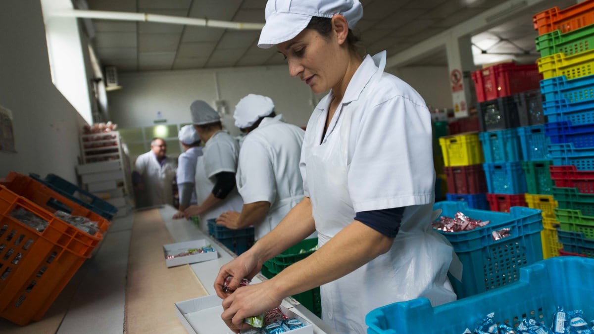 Estepa creará 4.500 empleos para la próxima campaña de navidad 2019