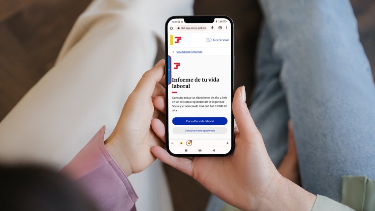 Cómo pedir la vida laboral por internet
