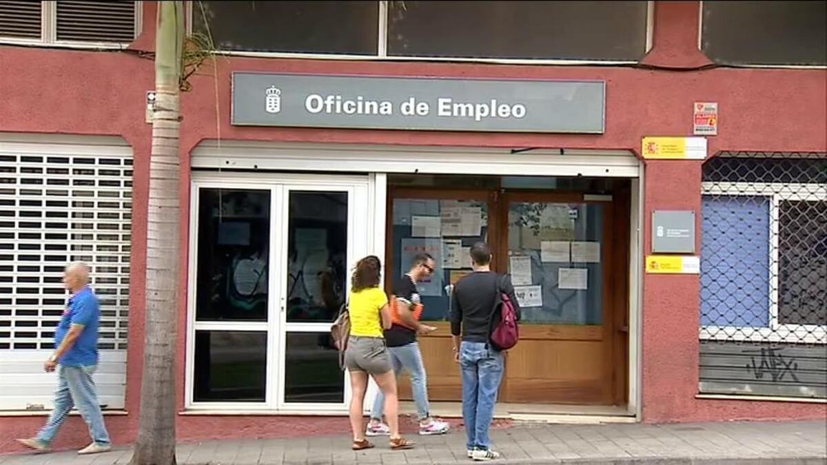 El Servicio Canario de Empleo y sus 250 ofertas de trabajo: requisitos y condiciones