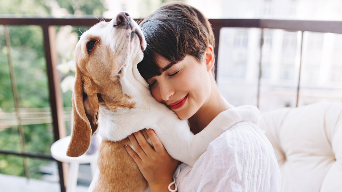 Así será el curso de bienestar animal para poder tener un perro