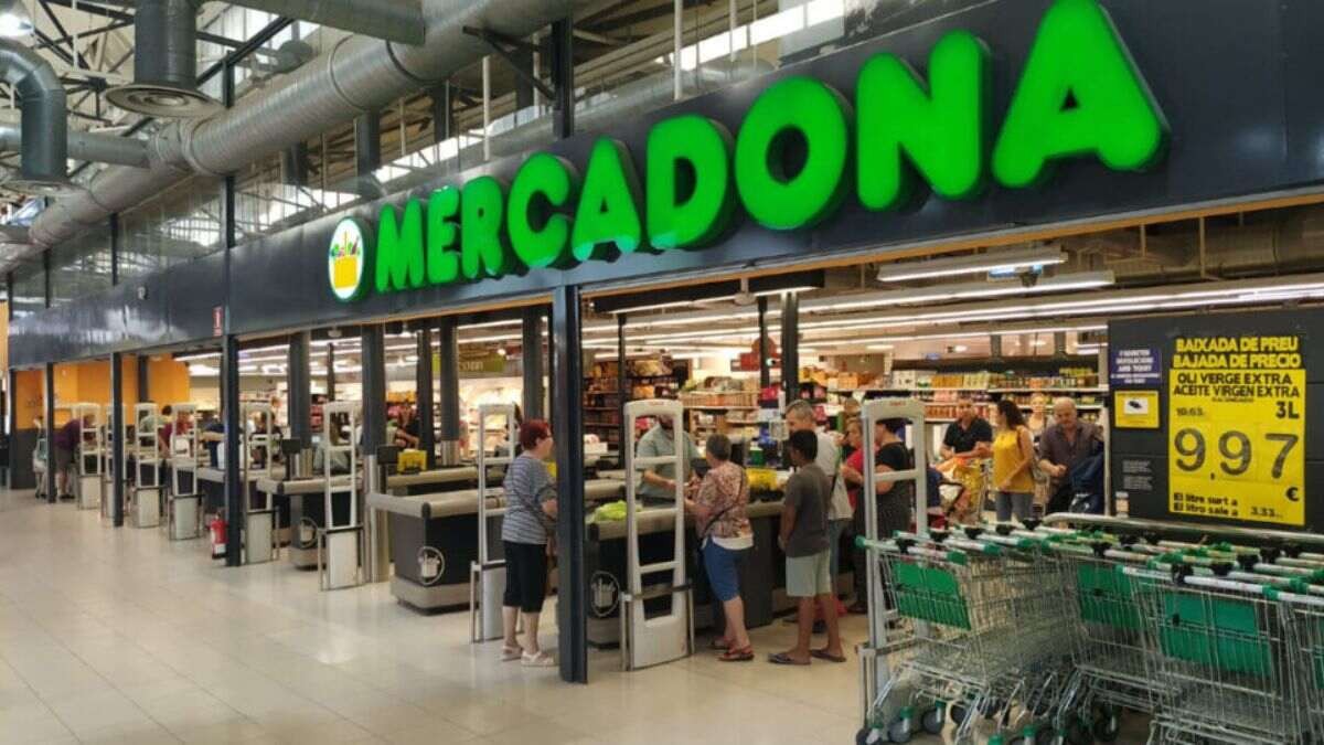 Estos son los horarios de los supermercados para el 8 de diciembre: Mercadona, Carrefour, Lidl, Dia...