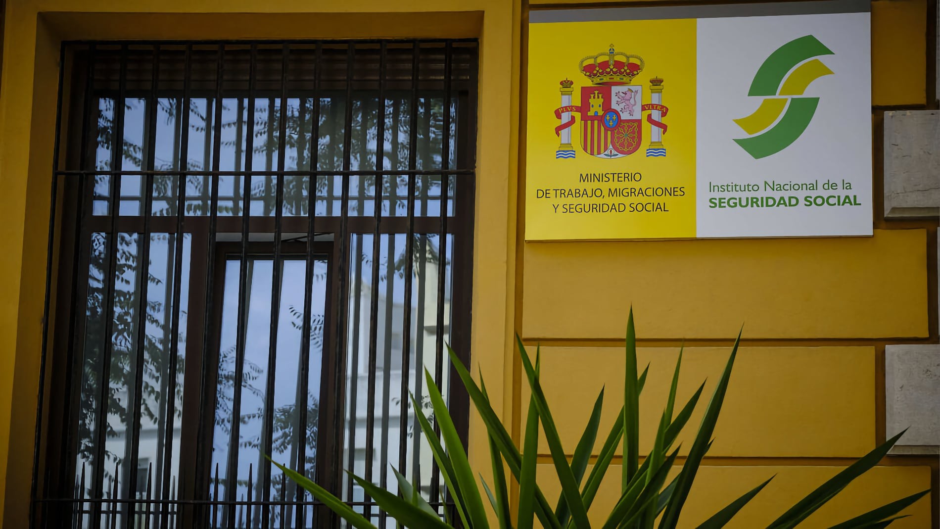 Dónde solicitar el Ingreso Mínimo Vital: estas son las formas de pedir la prestación