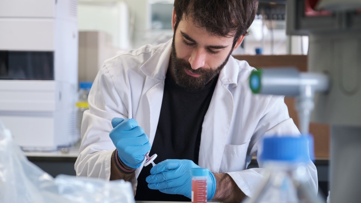 Fundación Carolina publica más de 600 becas: ayudas a posgrados, doctorados o movilidad de profesorado