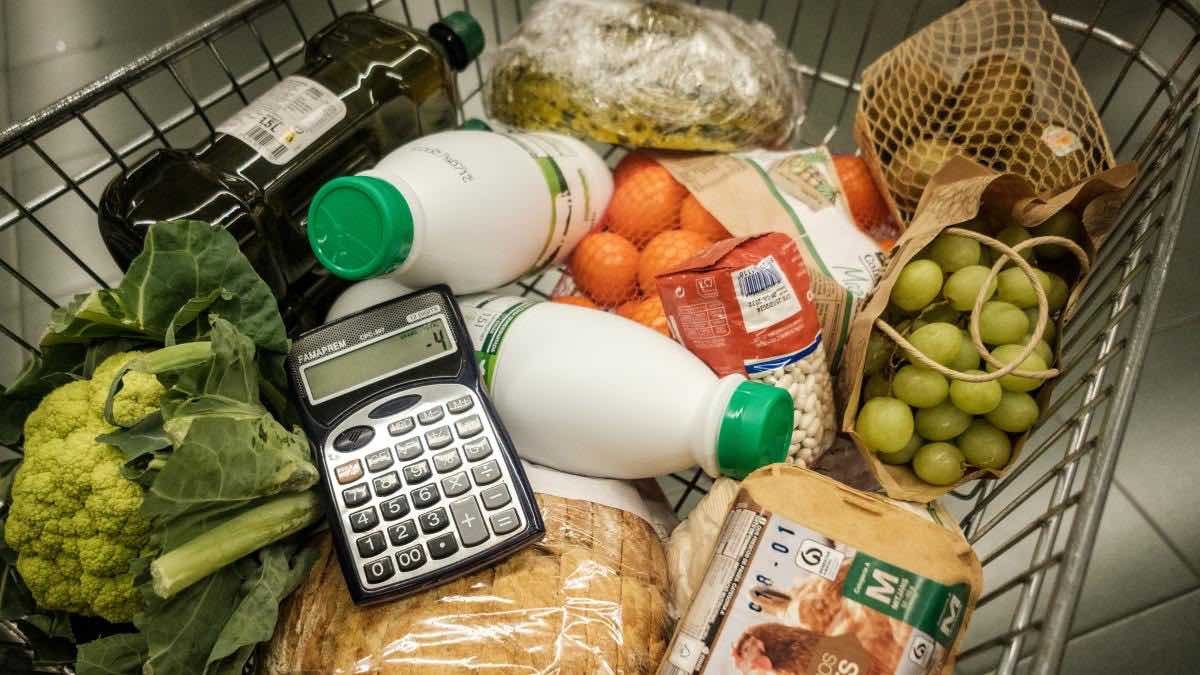 La OCU vigila: ¿El Corte Inglés, Mercadona, Carrefour, Dia y Alcampo rebajaron el IVA?