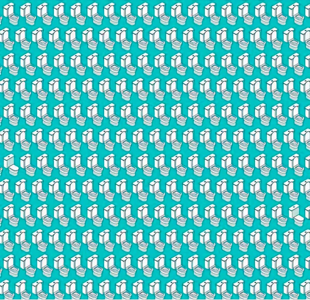 reto visual inodoros