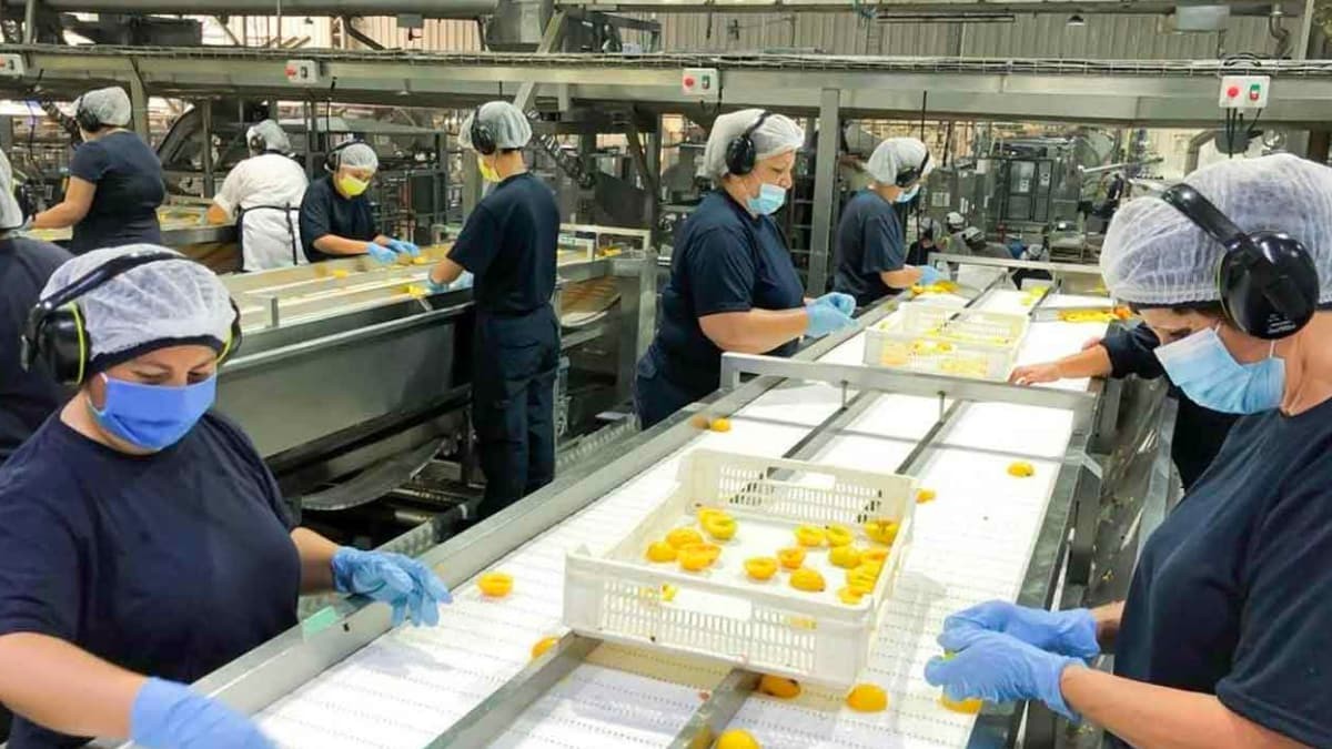 Adecco busca 200 operarios de alimentación con contrato de lunes a viernes
