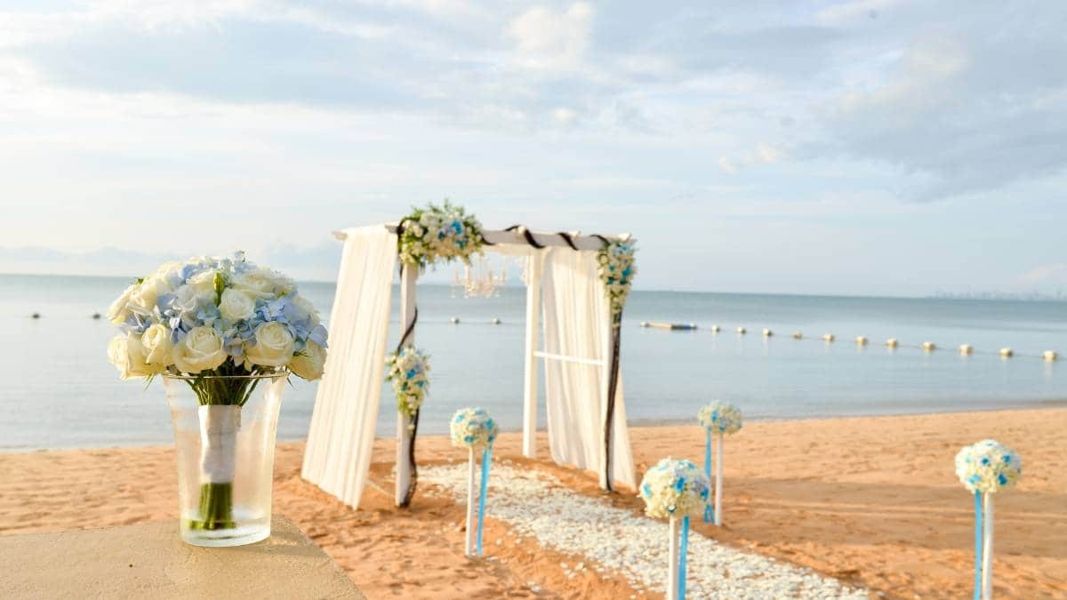 ¿Tienes una boda próximamente? Este es el dinero que dar como invitado