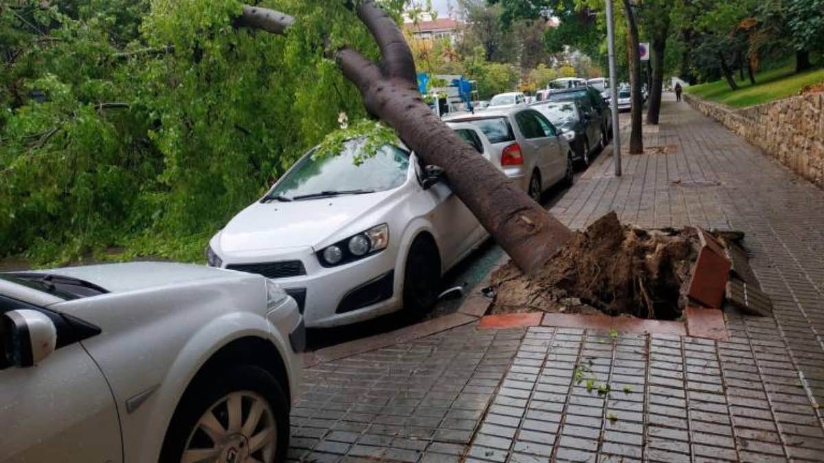 La OCU avisa cómo reclamar por daños y desastres naturales: quién tiene que pagarlos