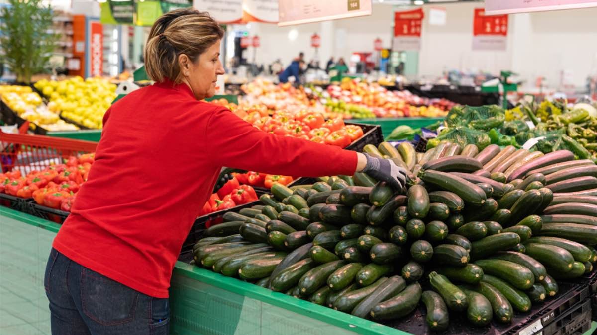 Alcampo necesita todo tipo de trabajadores: contrato indefinido con sueldo de 1.308 euros