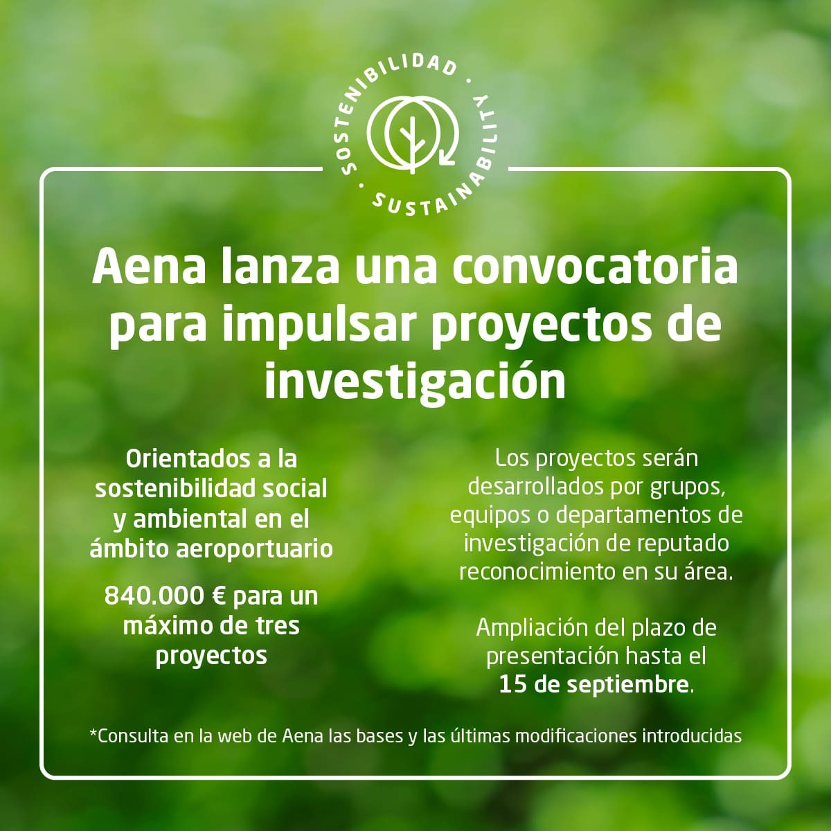 ayudas Aena