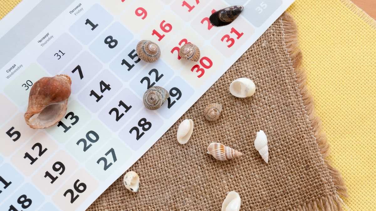 Si no te han dado las fechas que querías de vacaciones, fíjate si incumplen este derecho desconocido