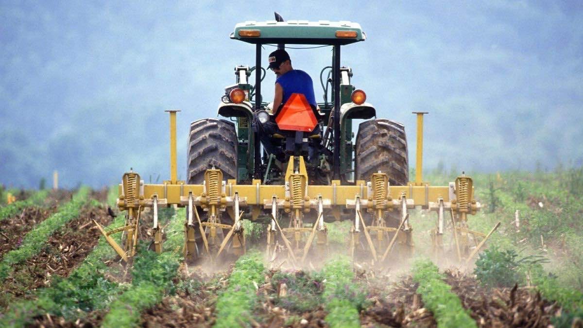 El PP tiende la mano al sector agrario con un incremento de Renta Agraria