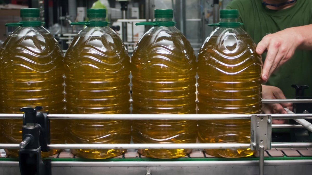 Estas son las alternativas más baratas al aceite de oliva: hasta 5 euros de ahorro