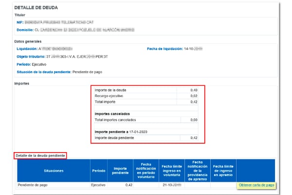 Detalle de la deuda, opción disponible en la consulta de deudas con la Agencia Tributaria.