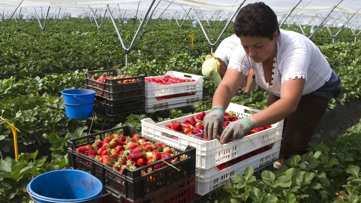 El Servicio de Empleo de Murcia publica 591 vacantes con contrato fijo y sueldo de 2.500 euros