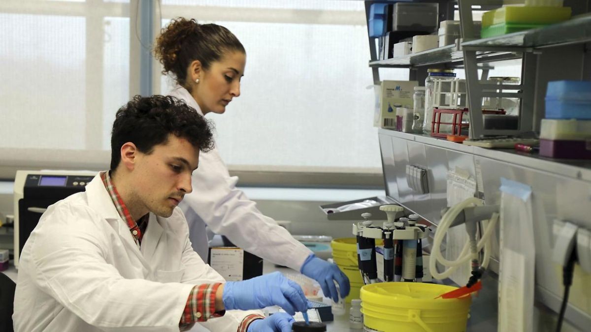Ofertas de empleo con contrato en prácticas para estudiantes: 206 vacantes para becarios
