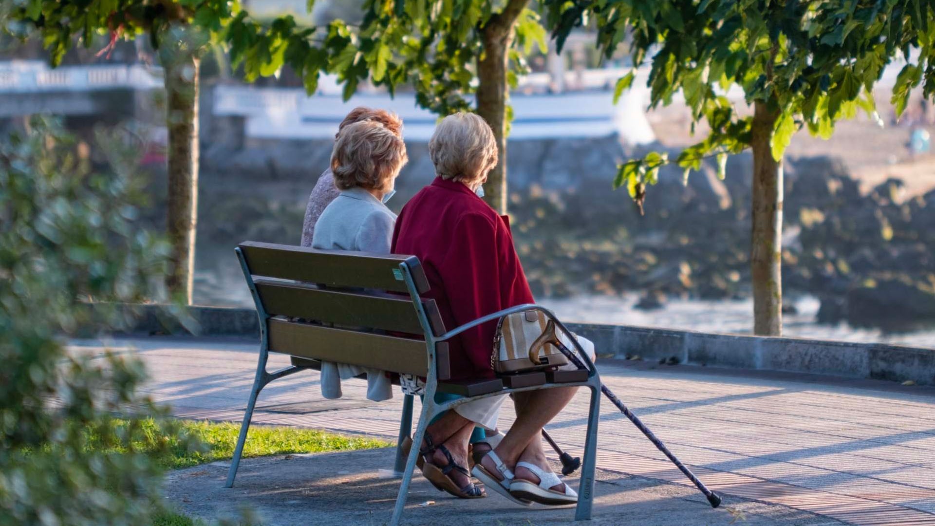 Así quedarán las pensiones en 2024 para los que han cotizado menos de 15 años