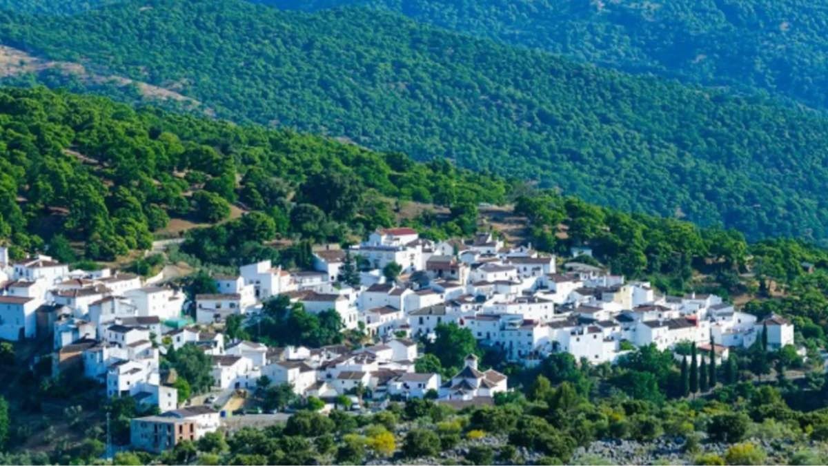 Parauta Malaga