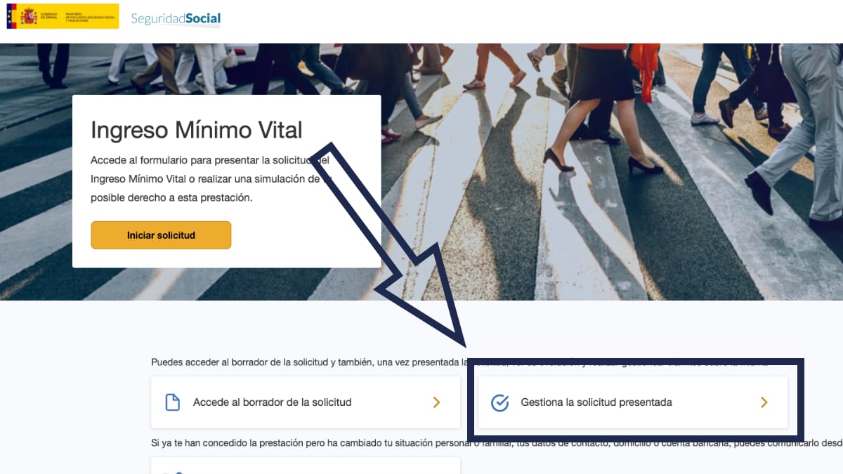 Consultar estado del Ingreso Mínimo Vital