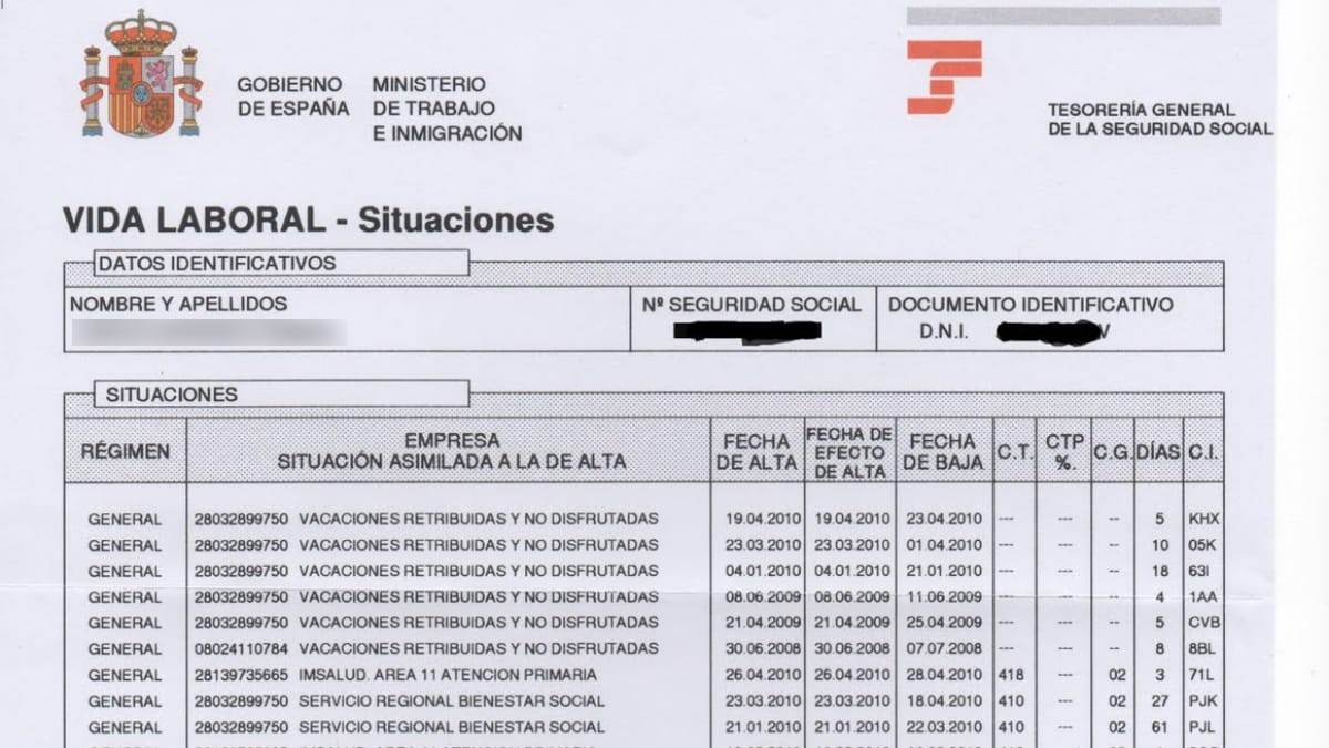 Cada cuánto tiempo hay que consultar la vida laboral: la Seguridad Social da este consejo