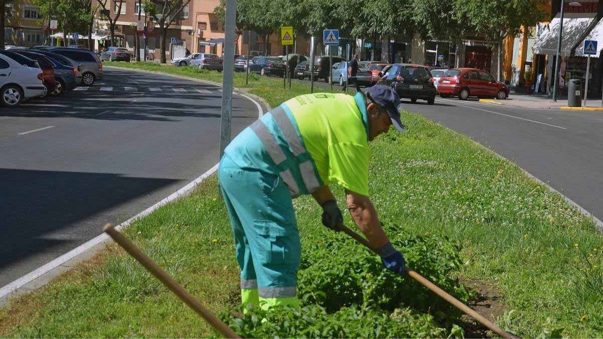 El SAE publica trabajo: necesitan personal sin estudios y dan libres los fines de semana