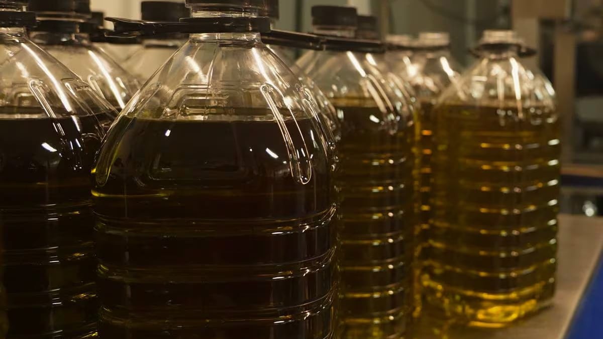 Adiós a Carrefour y Lidl, aquí se puede comprar el aceite de oliva más barato