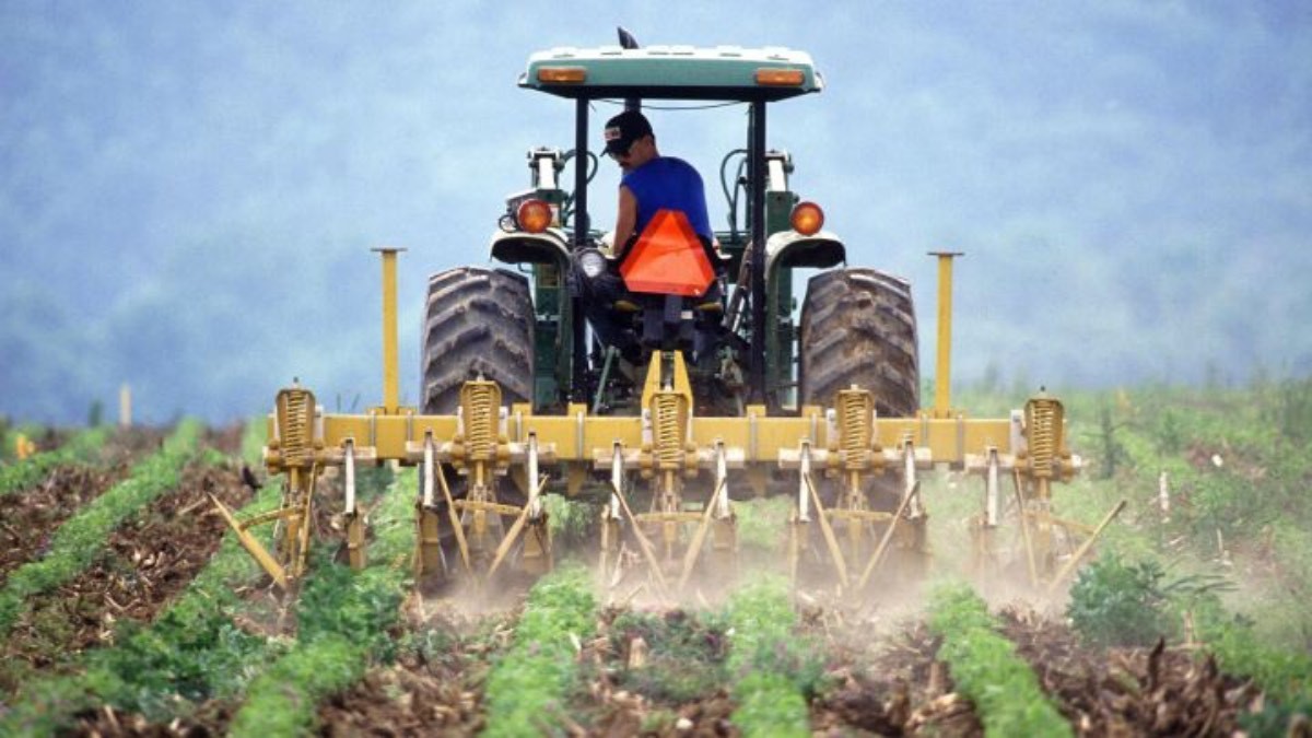 ¿Adiós a la Renta Agraria? Cambio en el número de jornadas para acceder al subsidio de 570 euros
