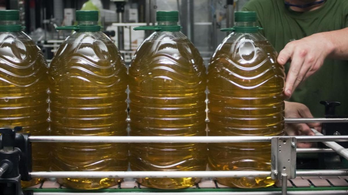 El país que reta a España con un plan para ampliar la producción de aceite de oliva