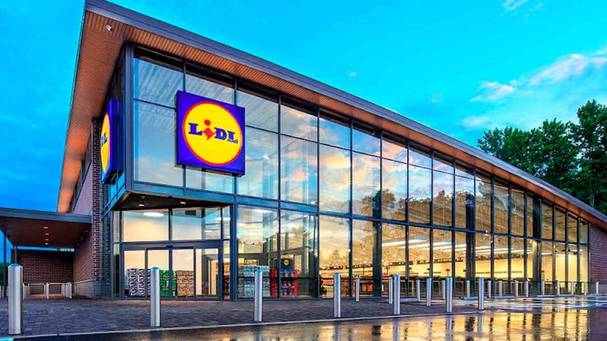 Lidl vuelve a poner a la venta las zapatillas deportivas que arrasan cada año: por tan solo 12 euros