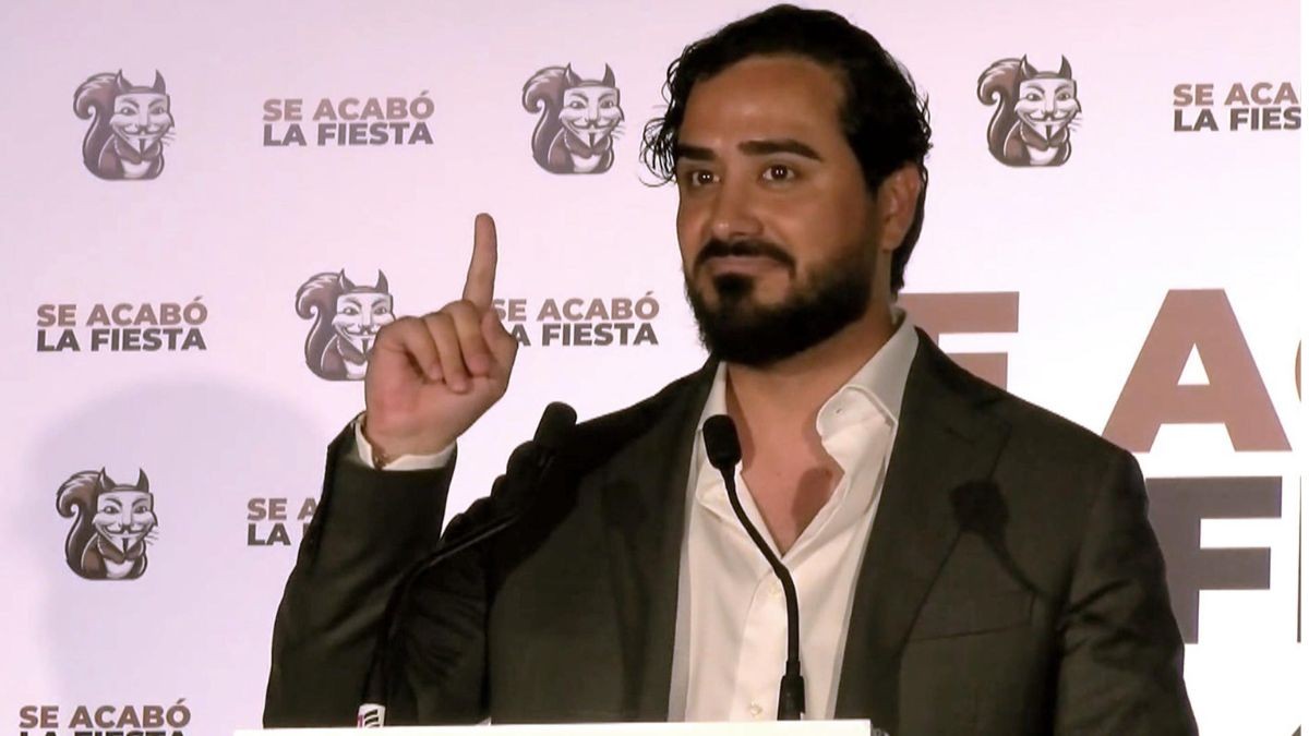 Este es el currículum de Alvise Pérez: sus estudios y en qué ha trabajado