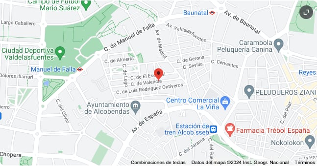 mapa de la ubicación del piso subastado en la Seguridad Social
