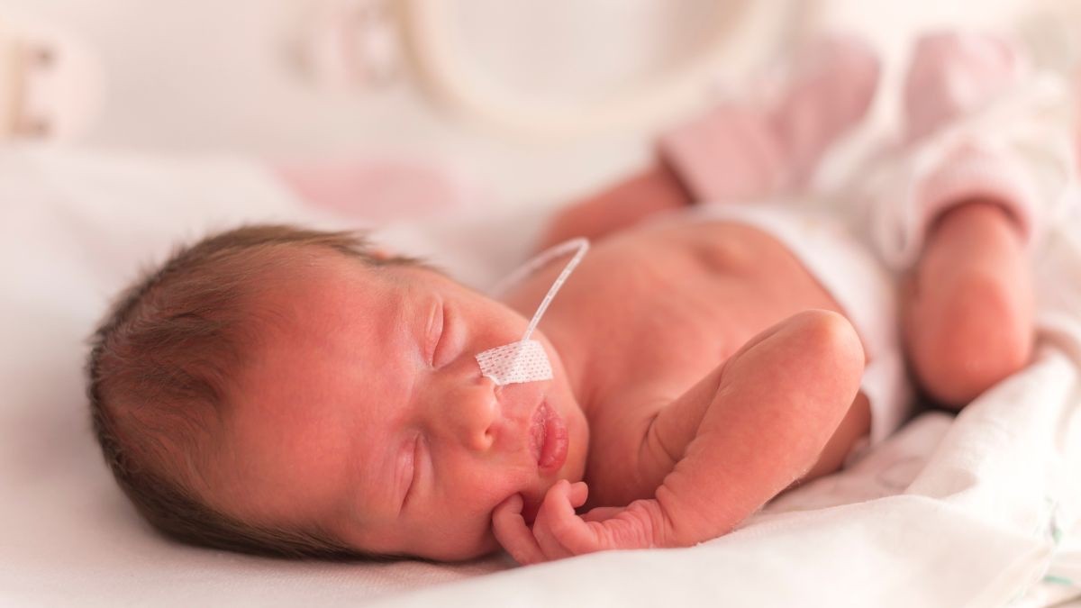 Ayuda de 1.200 euros para padres por nacimiento o adopción: se puede solicitar hasta el 21 de agosto