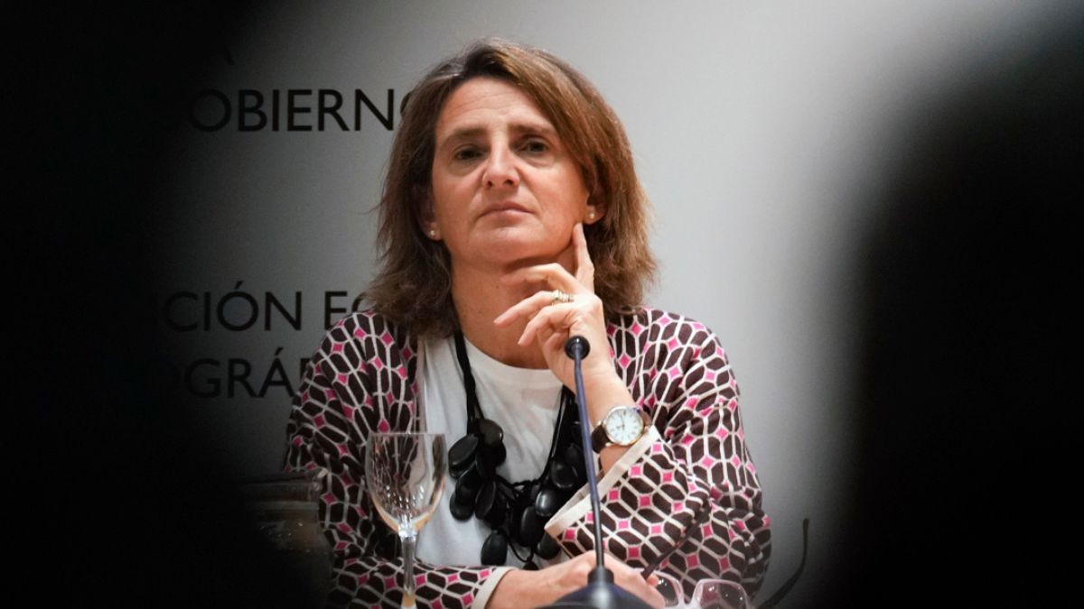 Currículum de Teresa Ribera: nueva vicepresidenta ejecutiva de Transición Limpia, Justa y Competitiva de la CE