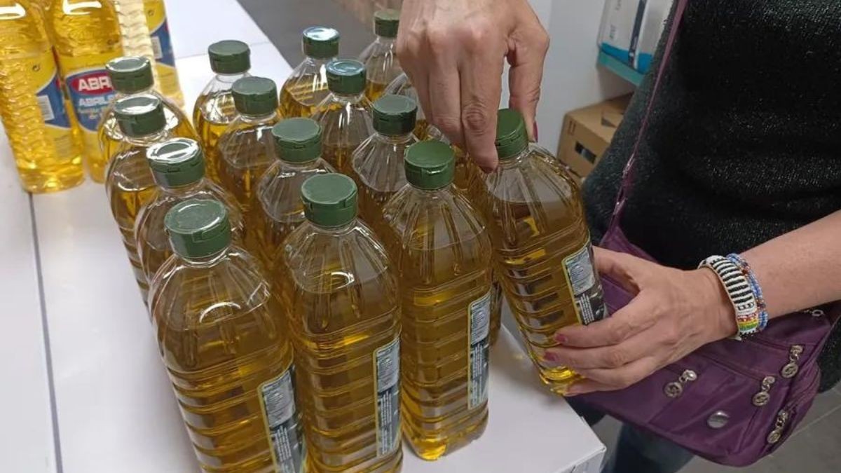 Alcampo frena la subida de precio del aceite de oliva y sorprende con nuevas ofertas y un cupón de 30 euros