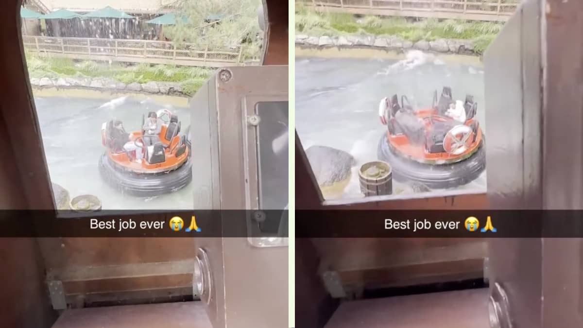 Un trabajador muestra cuál es el mejor trabajo del mundo: los 1,9 millones de likes lo avalan