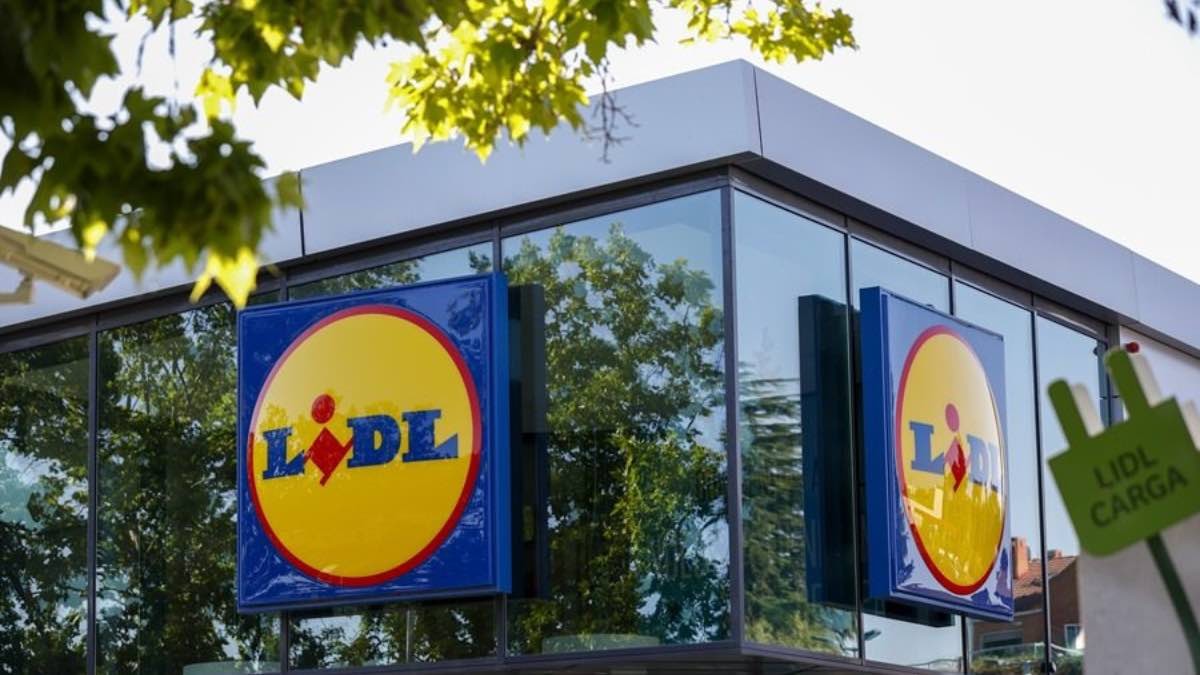 Una trabajadora de Lidl con depresión es despedida y la justicia no ve discriminación: se queda sin la nulidad