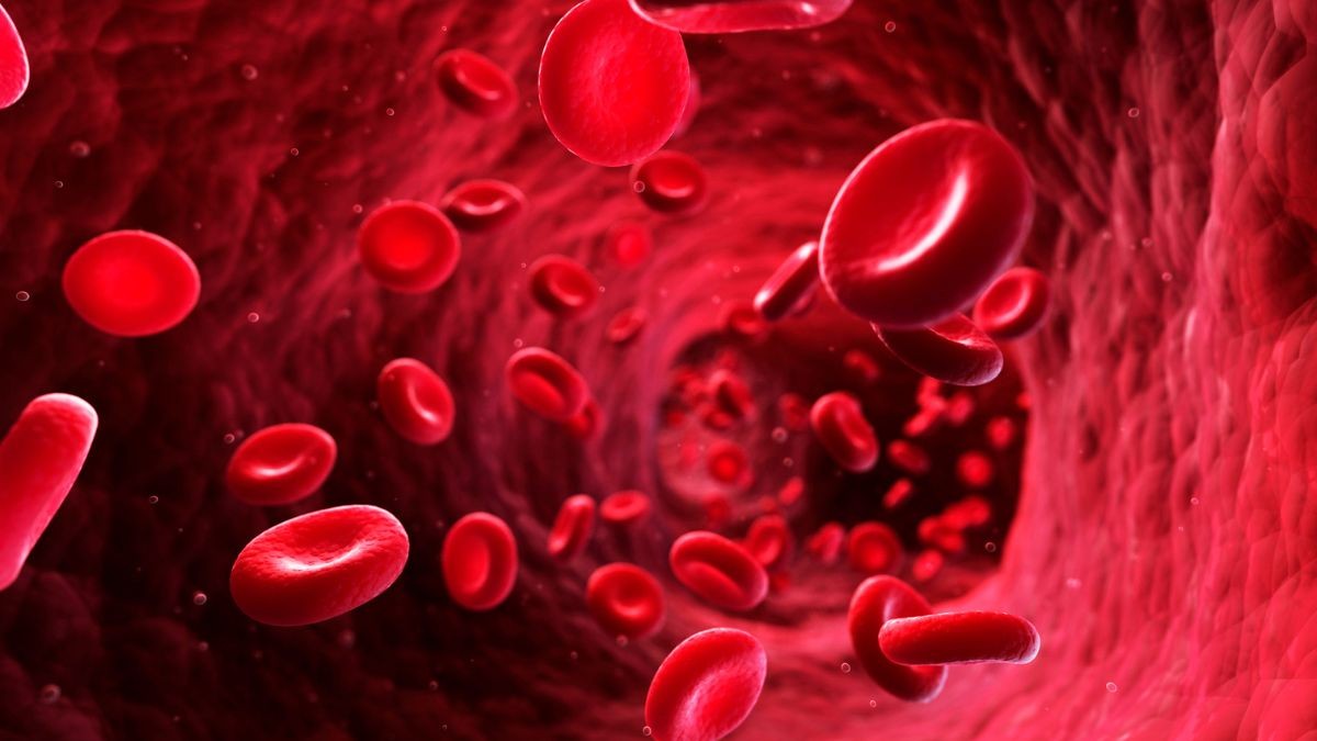 La ciencia descubre un grupo sanguíneo desconocido después de 50 años de investigación
