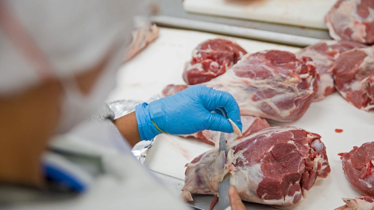 Comer carne roja procesada podría ser causa de demencia senil según profesores de Harvard