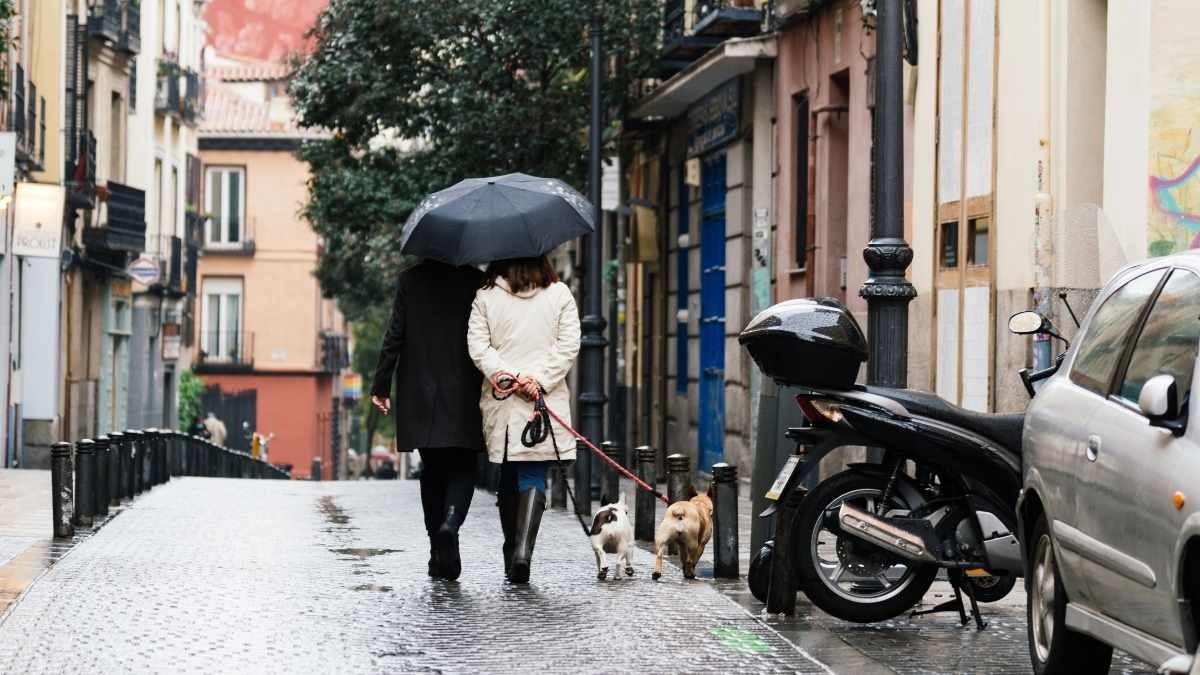 Cómo divertirse en Madrid con días de lluvia